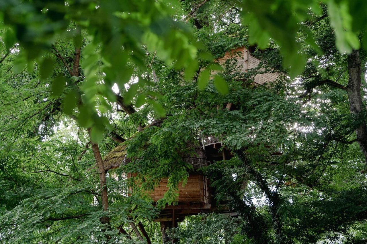 Cabane Perchee Dans Les Arbres Saint-Hilaire-en-Morvan Exterior foto